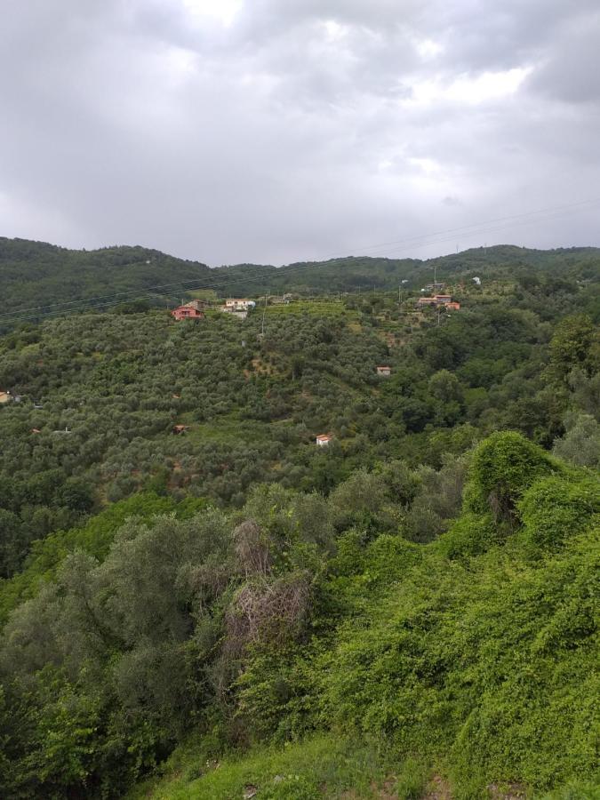 Casa Di Vecchio Borgo Βίλα Sarzana Εξωτερικό φωτογραφία